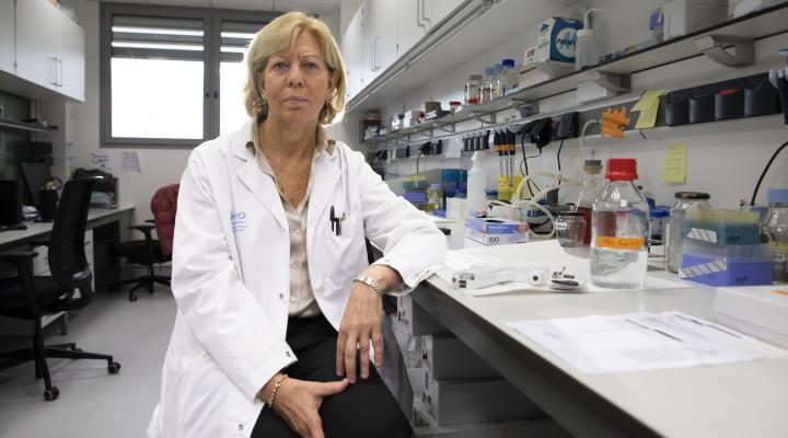 Enriqueta Felip ganadora premio Vanguardia de la Ciencia 2022
