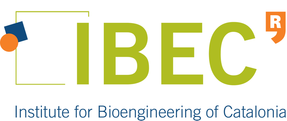 Institut de Bioenginyeria de Catalunya (IBEC)