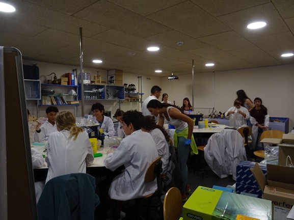 Participants BioMol al lab de MNP
