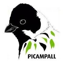 picampall