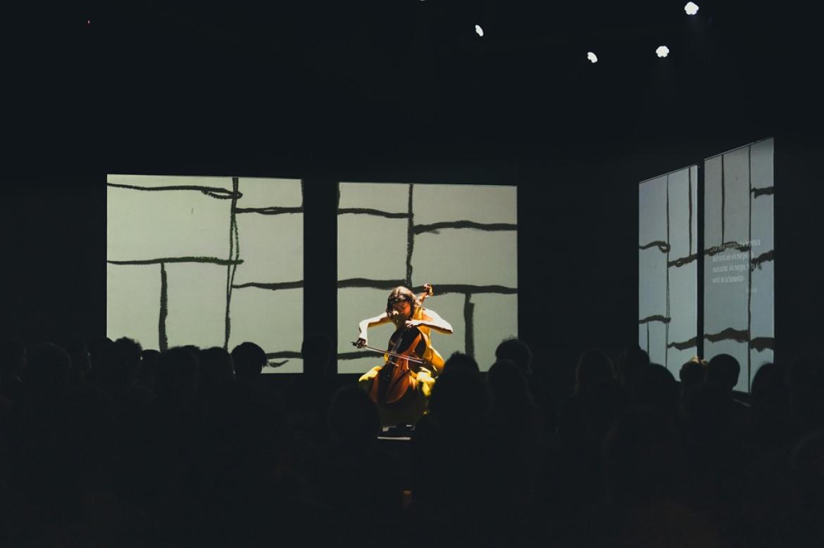 concert-anastasia-kobekina-liceu
