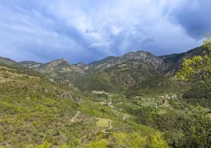gestio forestal sostenible a alinya