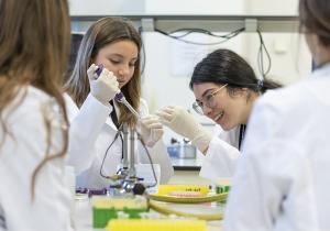 Programes ciència fclp