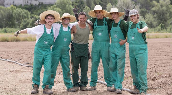 Programa de inserción de jóvenes