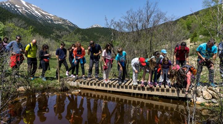 Educación ambiental