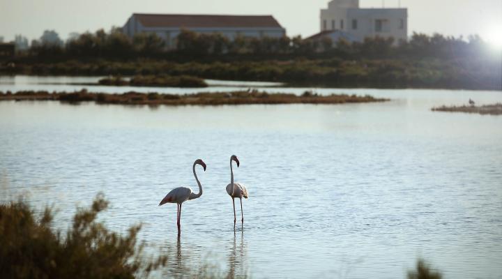 MónNatura Delta de l'Ebre