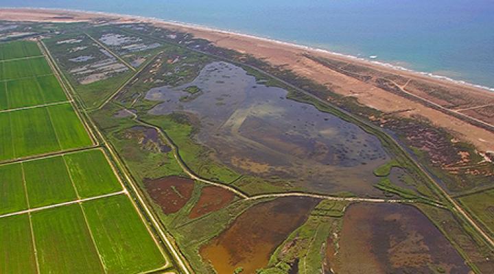 L’Alfacada, un paraíso secreto en el Delta