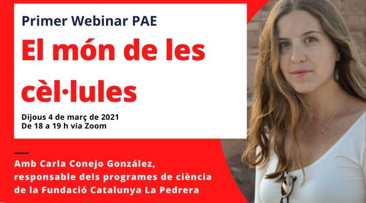 webinar pae