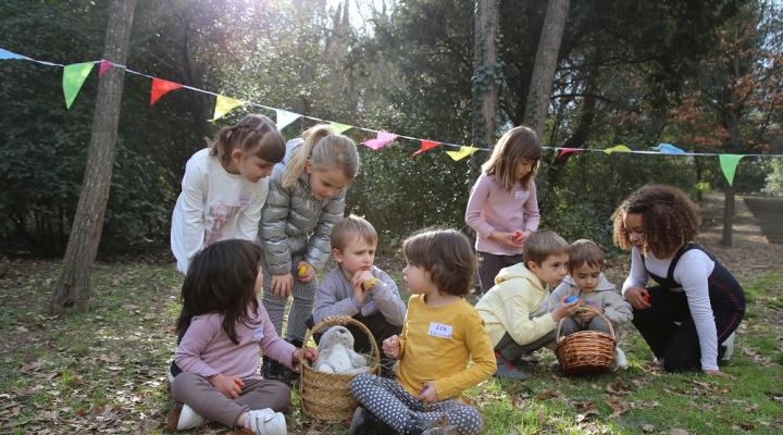 Operación Pascua