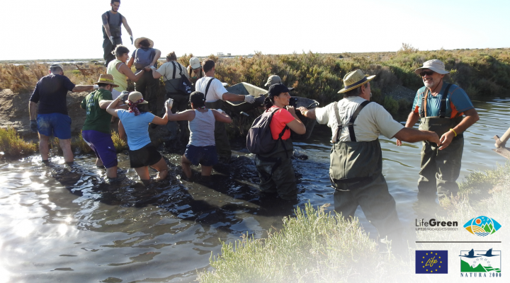 river volunteers 