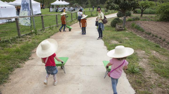 Una inmersión en el huerto