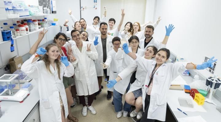 bojos per la ciència laboratori