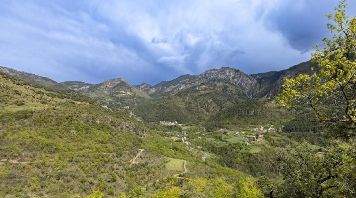 gestio forestal sostenible a alinya