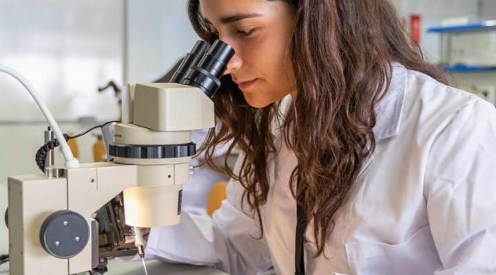 Bojos per la Salut Global