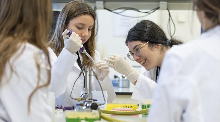 Programes ciència fclp