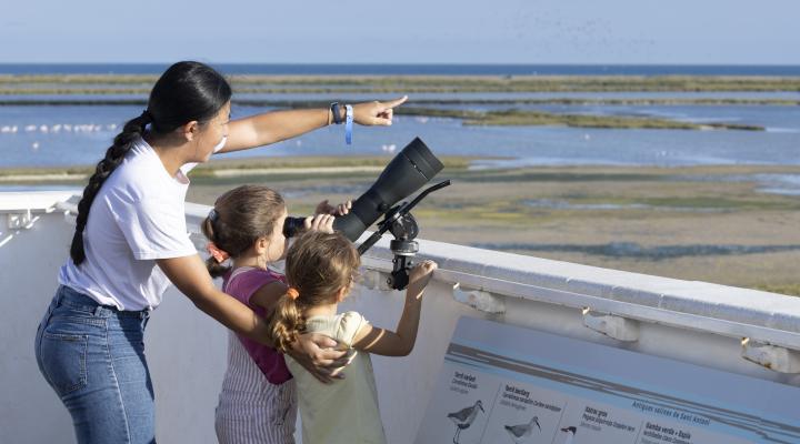 Delta Birding Festival