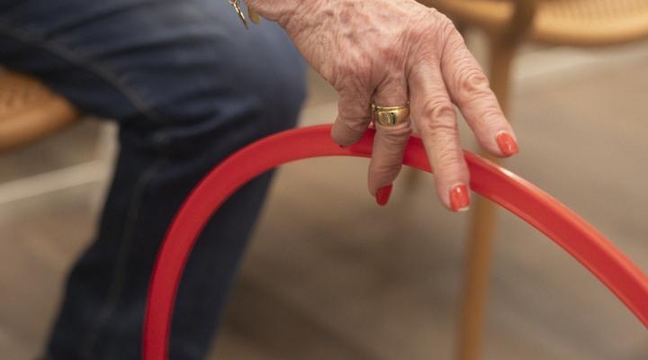 alzheimer-reforç-memoria-fclp