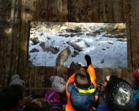 schools pallars choose name lynx pyrenees