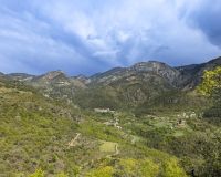 gestion forestal sostenible en alinya