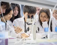 alumnat programes estiu ciència fclp