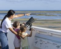 Delta Birding Festival