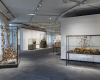 kiefer-exposicio-pedrera