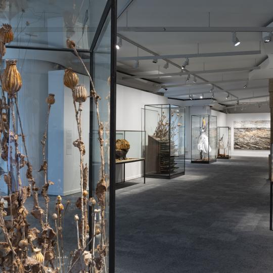 kiefer-pedrera-exposicio-fclp