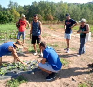 visita interns lledoners