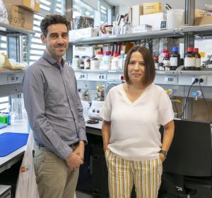 Elena Bosch i Ruben Vicente, Instituto de Biología Evolutiva (IBE: CSIC-UPF) i Universitat Pompeu Fabra.