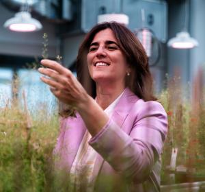 Ana Caño-Delgado