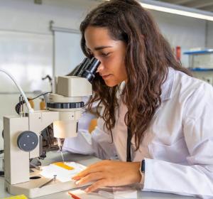 Bojos per la Salut Global