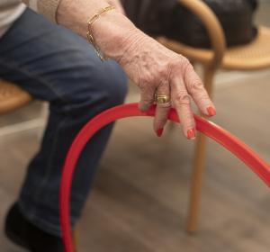alzheimer-reforç-memoria-fclp